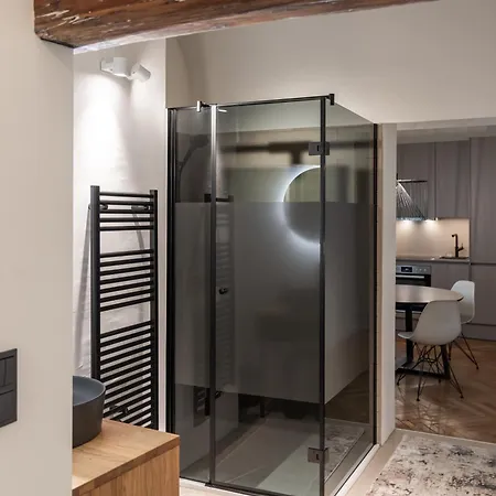 Apartment Luxury Design In Center Graz
