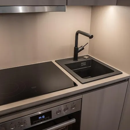 Apartment Luxury Design In Center Graz